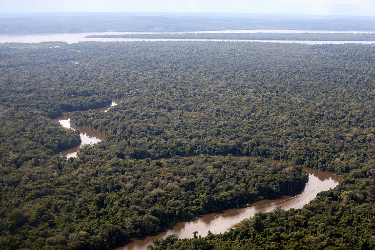 Amazônia de pé
