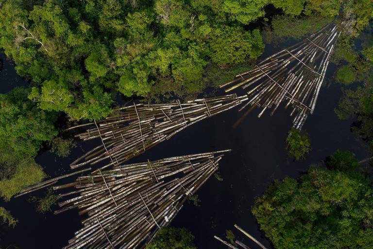 Foto aérea mostra toras de madeira apreendidas pela Polícia Militar do Amazonas no Rio Manacupuru