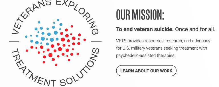 Logotipo em preto, azul e vermelho da organização americana Veteranos Explorando Soluções de Tratamento