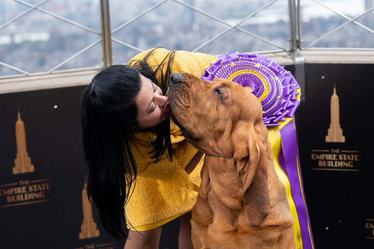 O bloodhound Trumpet vence o 146° Westminster Kennel Club Dog Show