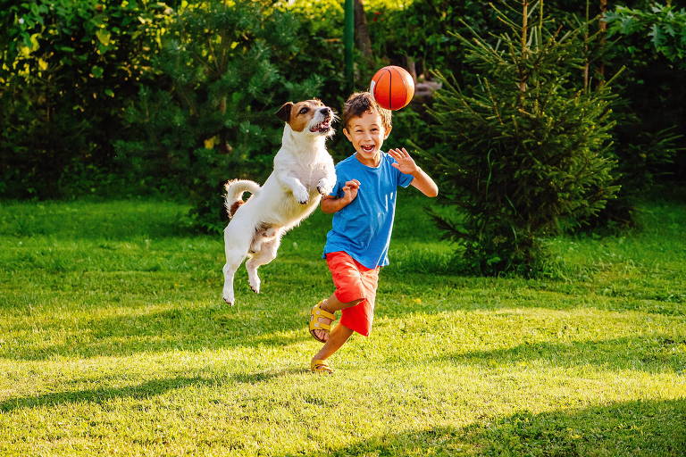 Crianças com cães se movimentam mais, mostra estudo