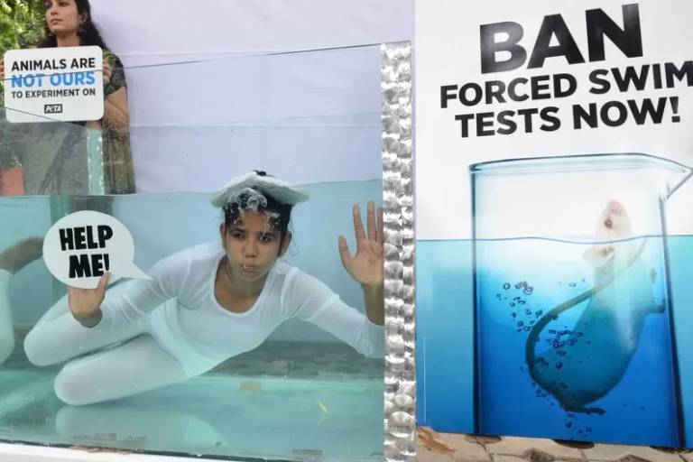 Imagem mstra, à esquerda, uma mulher mergulhadando em um tanque de água segurando uma plaquinha escrito: helpe me. À direira, há a imagem de um rato branco de laboratório tenatdno sair de um recipiente com água