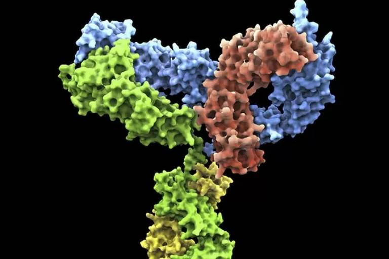 Ilustraçãpo mostra a representação de anticorpos em um fundo preto