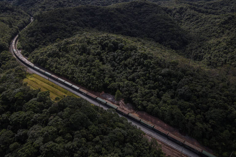 Imagem mostra trem passando em trilho que corta vegetação 