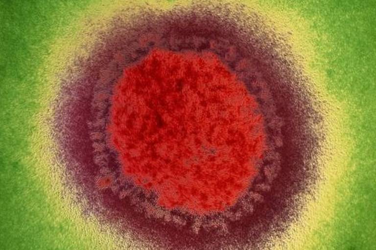 Vírus em imagem colorida