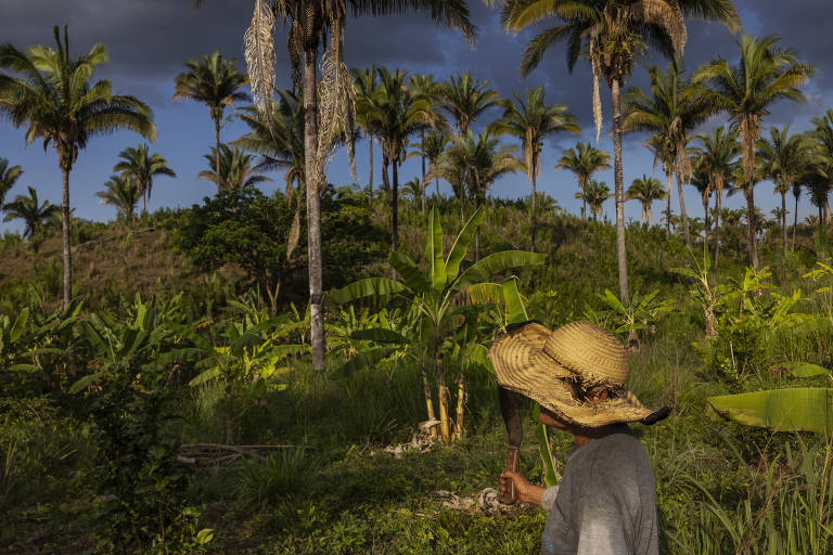 Mulher, de costas, usa chapéu diante de árvores e palmeiras