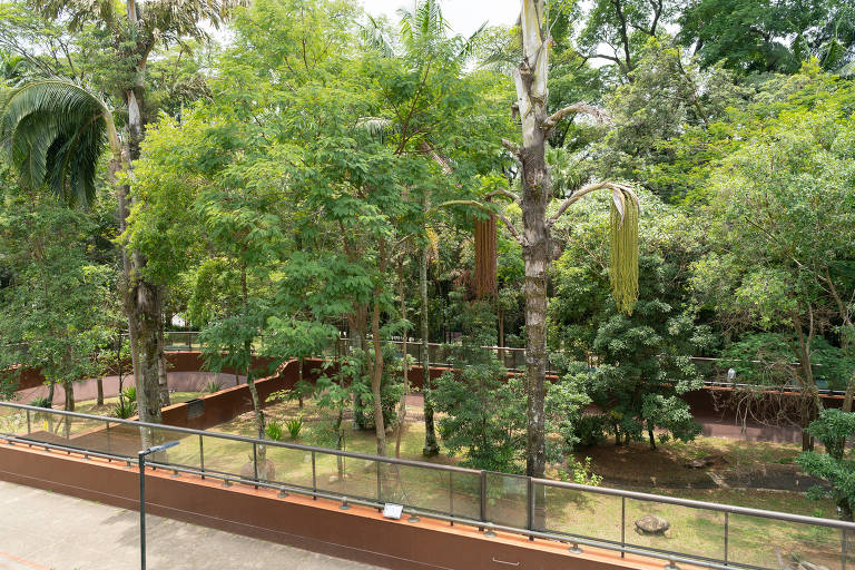 Parque da Ciência do Instituto Butantan é reabeto ao público