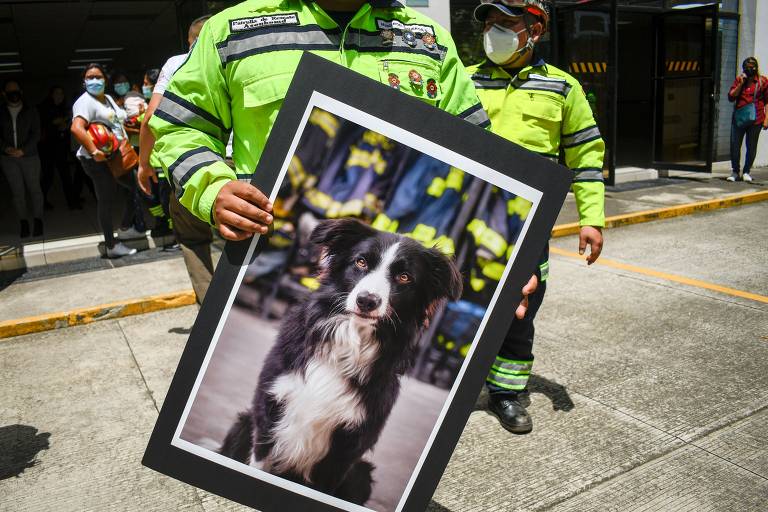 Bombeiros se despedem de cão de busca atropelado na Guatemala; veja fotos