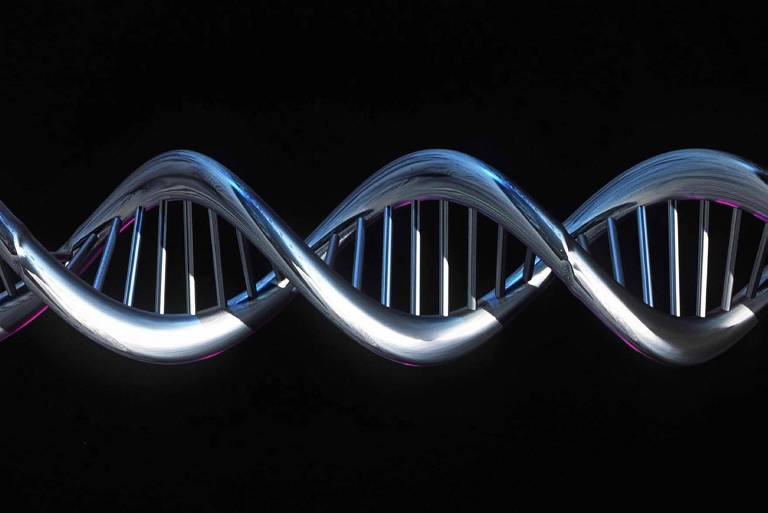 Estrutura em dupla hélice da molécula de DNA, que contém código genético da espécie humana