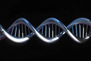 SCIENCE Genome/DNA