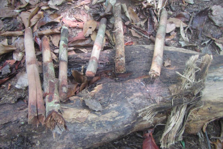 Funai ignora alertas de técnicos sobre indígenas isolados na Amazônia