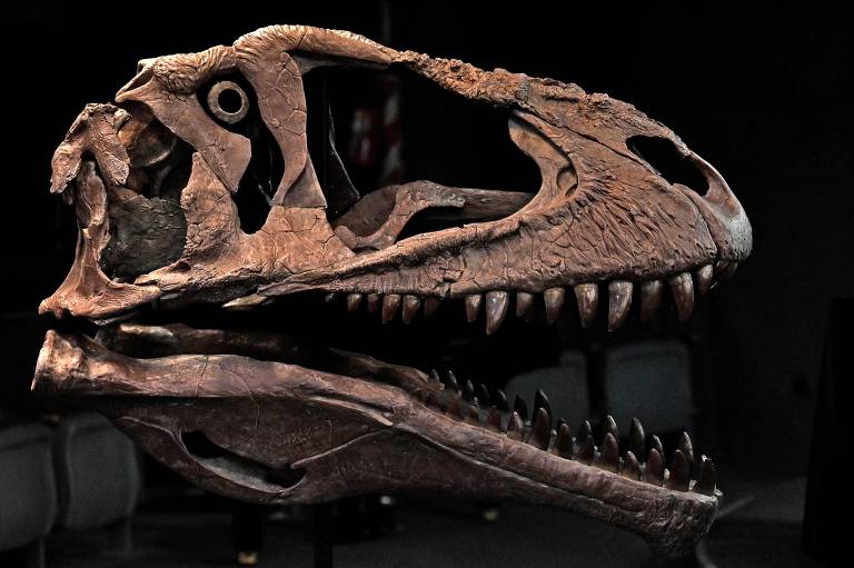 Nova espécie de dinossauro gigante é encontrada na Índia