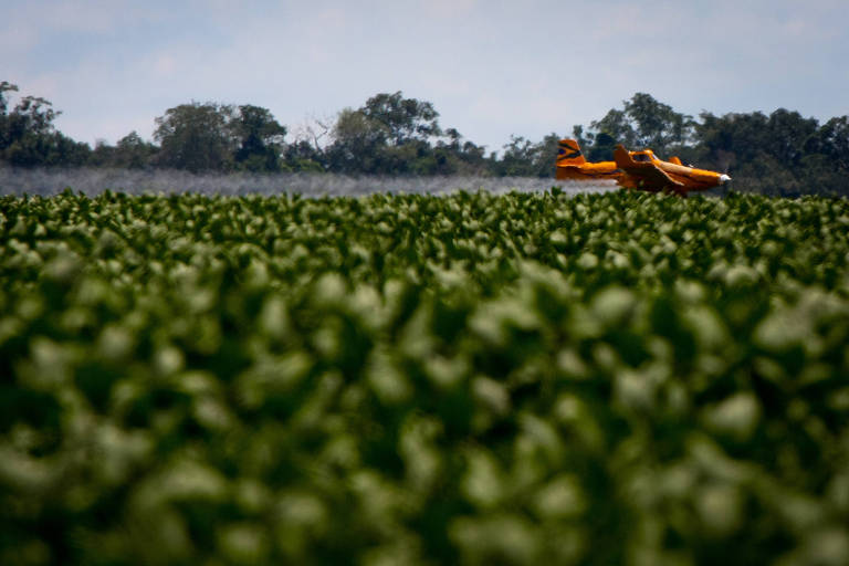 Avião aplica agrotóxico na plantação de soja em fazenda localizada em Feliz Natal (MT)