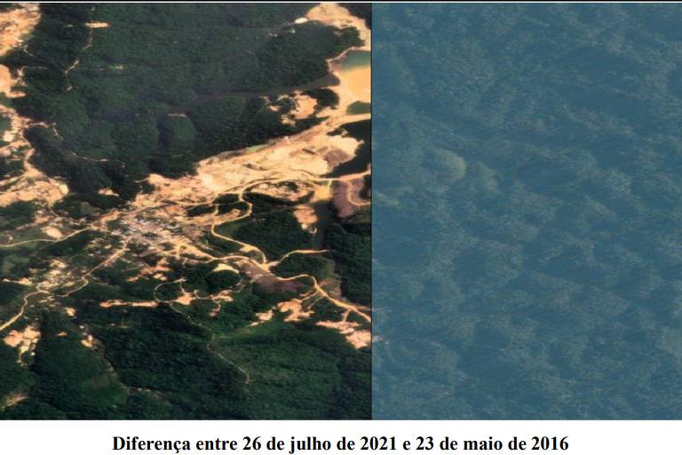 foto de área da floresta antes e depois
