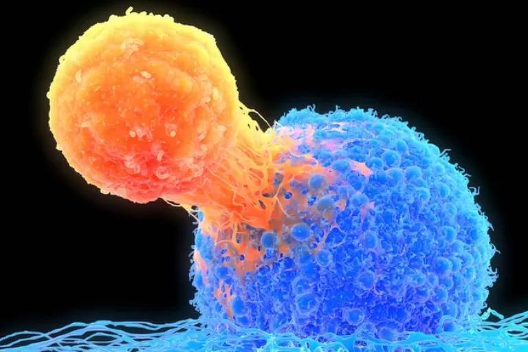 Ilustração mostra linfócitos T (em laranja na imagem) destruindo as células doentes (em azul) 