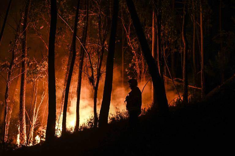 Onda de calor mata mais de 1.000 em Portugal e Espanha, e incêndios se alastram pela Europa