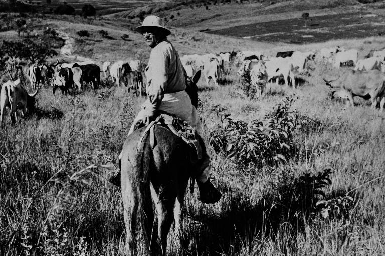 Guimarães Rosa em uma mula durante a boiada de 1952 no sertão de Minas