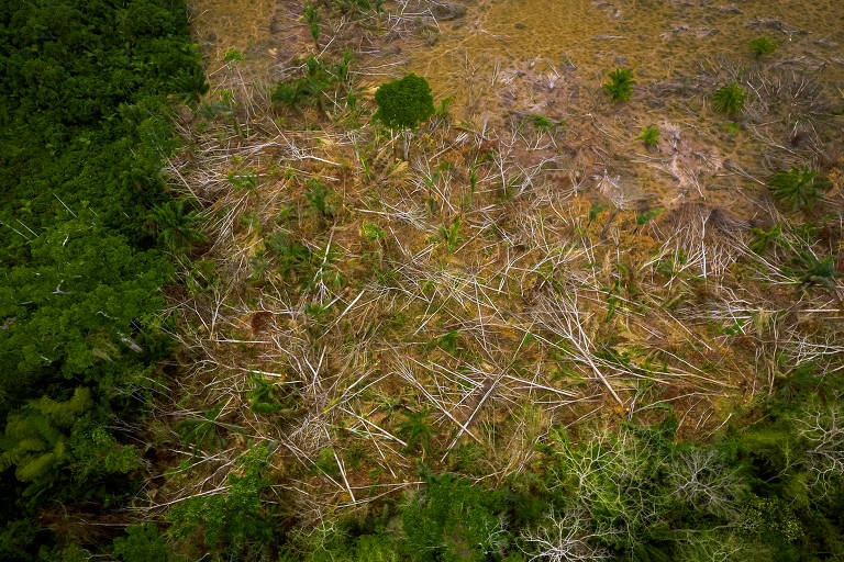 Área desmatada fotografada por drone na Terra Indígena Sete de Setembro