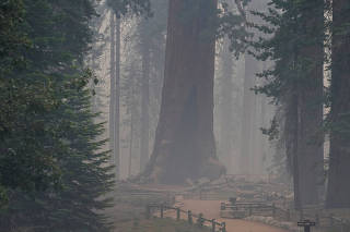 Washburn Fire burns near Yosemite National Park