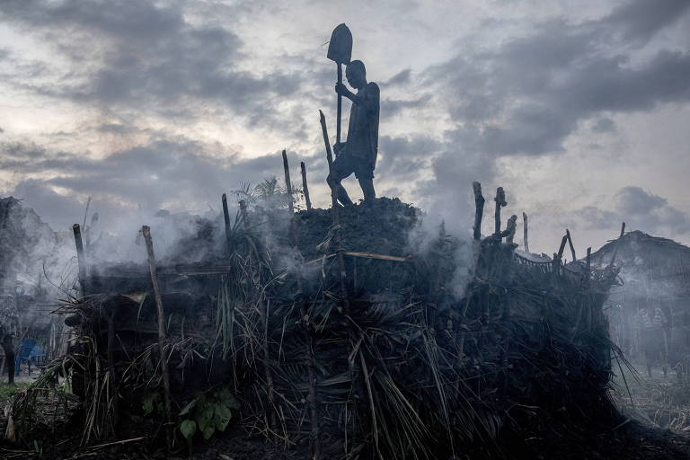 Demanda por lenha para cozinhar destrói floresta tropical no Congo