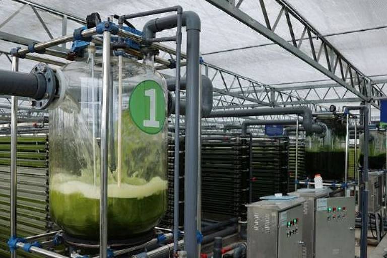 Cultivar algas em um ambiente sintético é uma das diversas formas para substituir os serviços ecossistêmicos da natureza