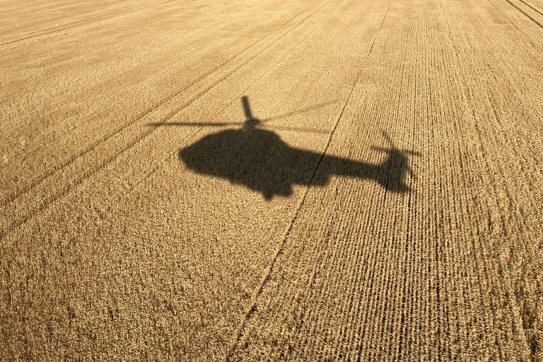 sombra de helicóptero sobre campo de trigo