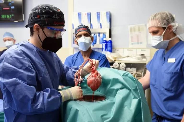Imagem em primeiro plano mostra médicos em uma sala de cirurgia fazendo o primeiro transplante de coração suíno para um ser humano