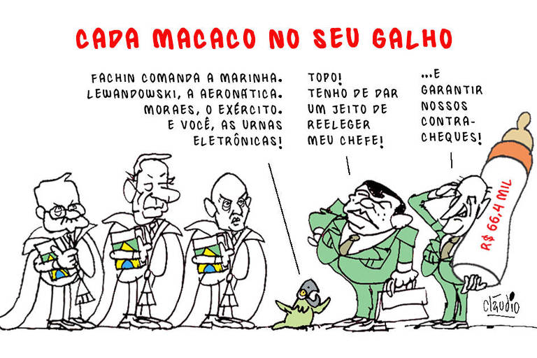 A charge tem o título Cada macaco no seu galho e mostra Luiz Edson Fachin, presidente do TSE, o ministro Luiz Edson Fachin, Alexandre de Moraes, futuro presidente do TSE, e Ricardo Lewandowski, futuro membro do TSE. No sentido oposto aos três aparecem caricaturados o ministro da Defesa, o general Paulo Sérgio Nogueira, e o ministro-chefe da Secretaria-Geral da Presidência da República, general Luiz Eduardo Ramos. Entre eles, há um papagaio, que diz:  - Fachin vai comandar a Marinha. Lewandowski, a Aeronáutica.  Moraes, o Exército. E você, as urnas eletrônicas!  A caricature que representa o general Paulo Sérgio Nogueira diz:  - Topo! Tenho de dar um jeito de reeleger o chefe!  A caricature que representa o general Luiz Eduardo Ramos fala;  - e garantir nossos contracheques!