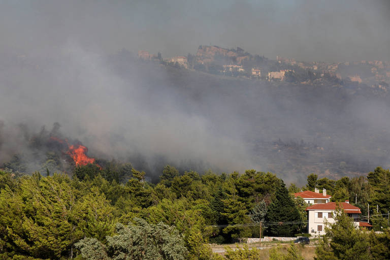 Incêndio florestal na Grécia e novo presidente no Sri Lanka; veja imagens de hoje