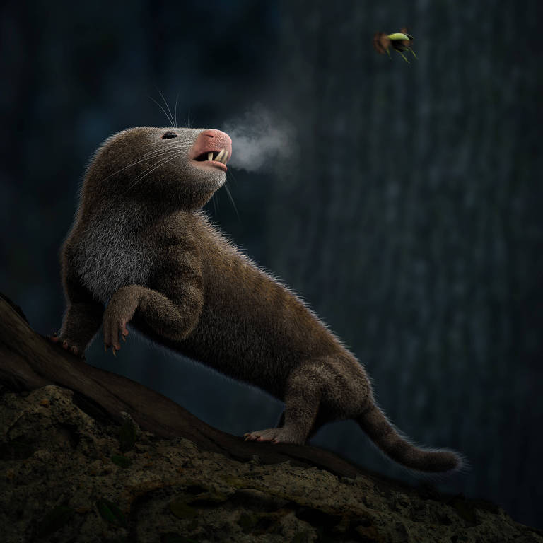 Ancestral dos mamíferos enfrenta ar frio da noite graças a seu sangue quente