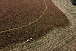 A farmer uses a machine to collect corn at a plantation in Maringa