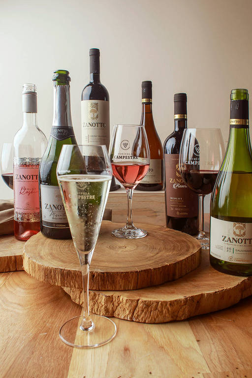 A foto mostra várias garrafas de vinho de diversos formatos e três taças com vinhos