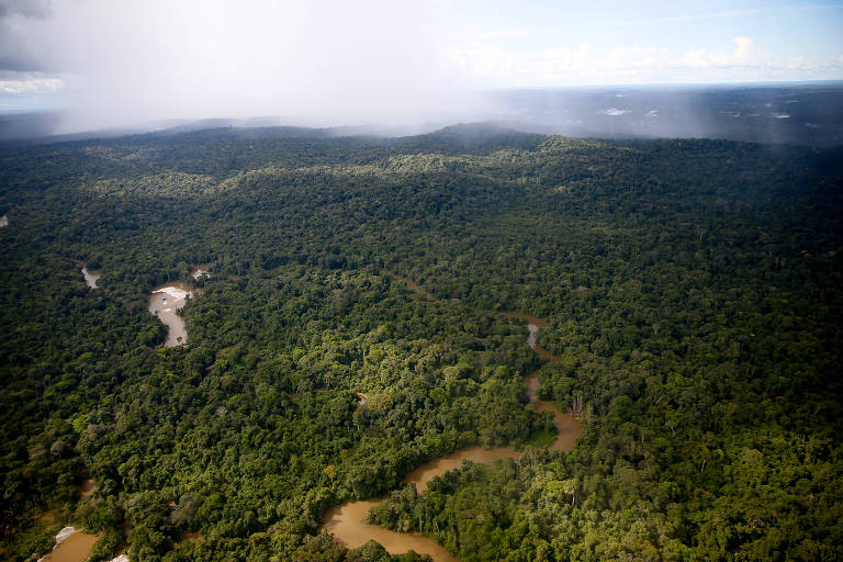 Imagem aerea da floresta amazônica, na região da bacia do Rio Tapajós, no estado do Pará 
