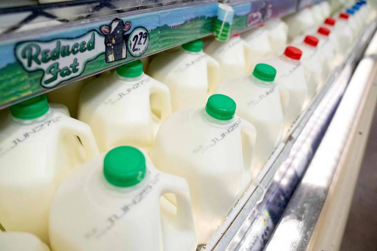 Imagem mostra vários galões de leite em uma prateleira de mercado.