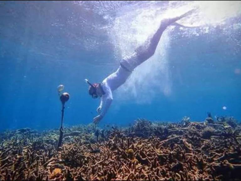 Pesquisador instala um hidrofone sobre um recife de coral na ilha de Sulawesi, na Indonésia