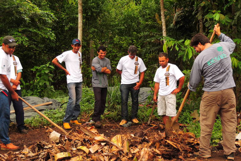Grupo de seis homens manuseando folhas secas na terra com o uso de enxadas