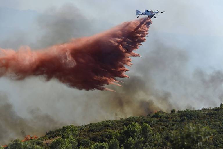 'Bombeiro piromaníaco' confessa ter colocado fogo em floresta na França