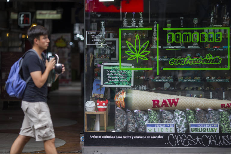 Cinco anos depois de iniciar a venda de maconha em farmácias, encerrando o ciclo de implementação da lei de regulamentação da marijuana aprovada em 2013, o Uruguai dá sinais de ter construído um sistema estável de produção e consumo