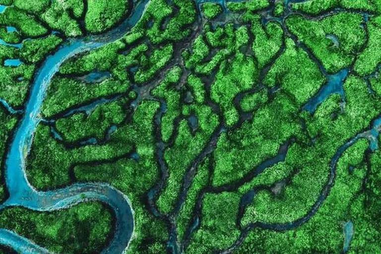 Vista aérea de área de vegetação cortada por cursos dágua