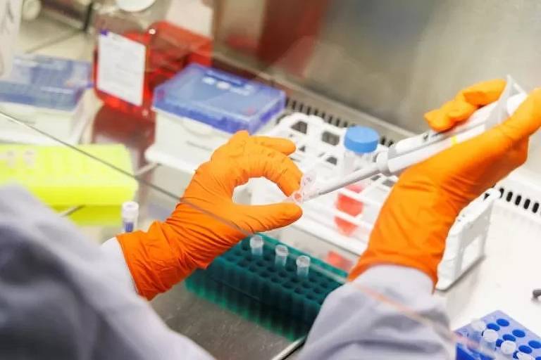 Hospitais privados começam a contabilizar casos de varíola dos macacos