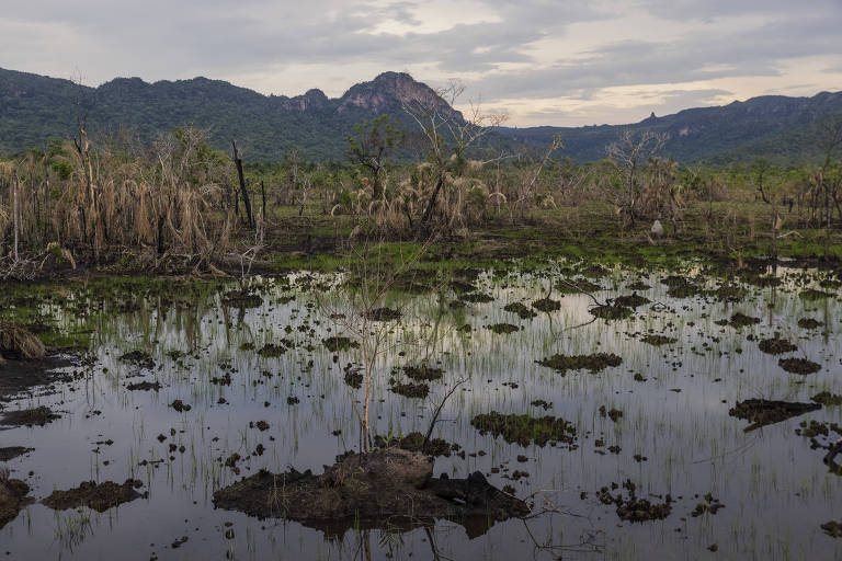 Governador de MT sanciona lei que altera proteção do Pantanal