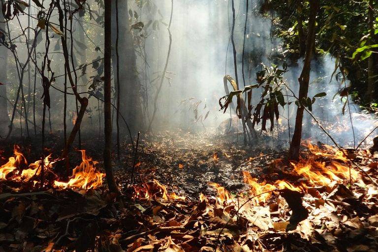 Fogo experimental em área no sudeste da Amazônia. As queimadas fazem parte do processo de desmatamento. Normalmente, após a derrubada da vegetação, os desmatadores deixa as árvores secando sobre o solo e, na estação seca da floresta, colocam fogo nessa vegetação para "limpar" a área