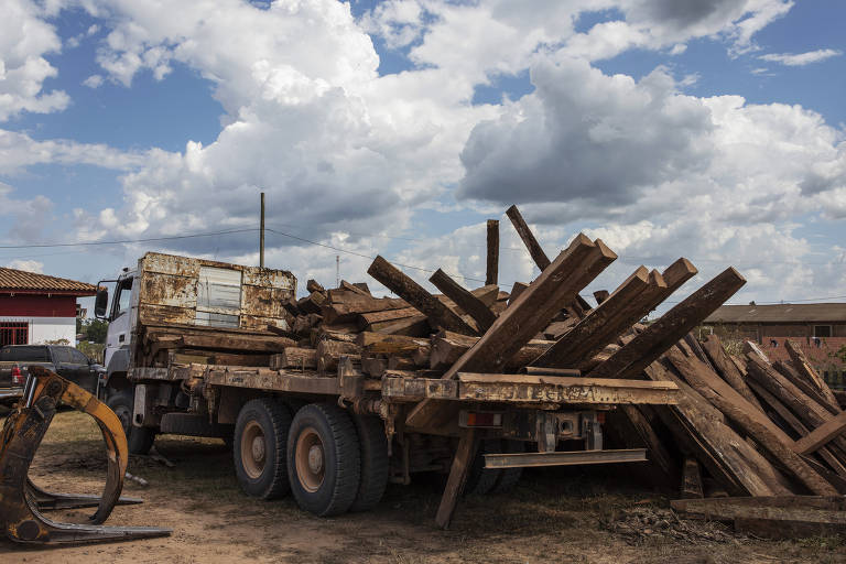 Motorista de caminhão apreendido transportando madeira ilegal descarrega a carga em um deposito da prefeitura de Uruará, no Pará