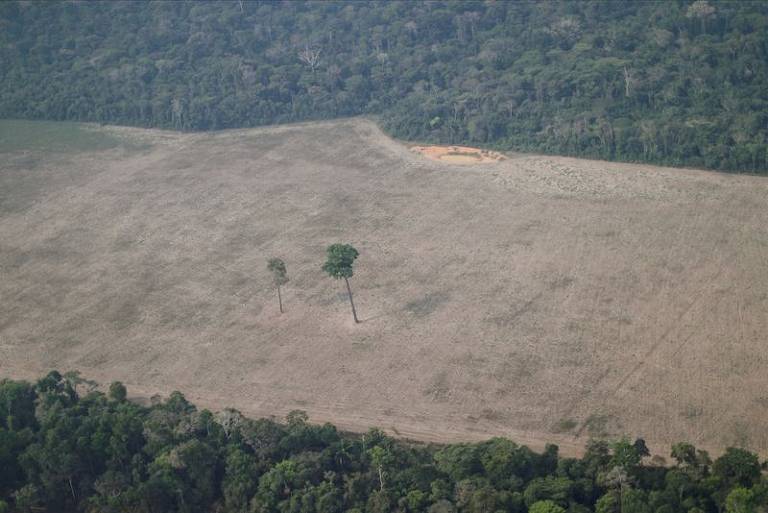 Trecho desmatado da Amazônia perto de Porto Velho, em Rondônia, o terceiro estado amazônico mais desmatado no Brasil