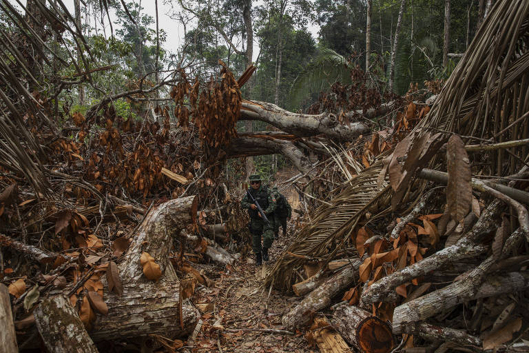Área desmatada no estado do Amazonas, conhecido como "coração da Amazônia", por seu estado de preservação de grandes áreas contínuas