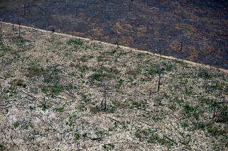 One Year After the ?Fire Day? in the Amazon - Bacuri Farm
Um Ano Após o ?Dia da Fogo na Amazônia? - Fazenda Bacuri