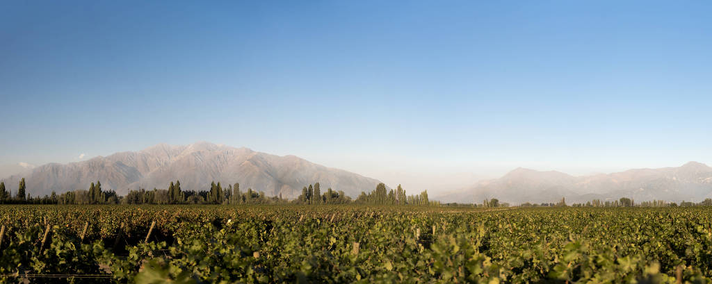 Imagem mostra vinícola no Chile, no fundo estão montanhas.