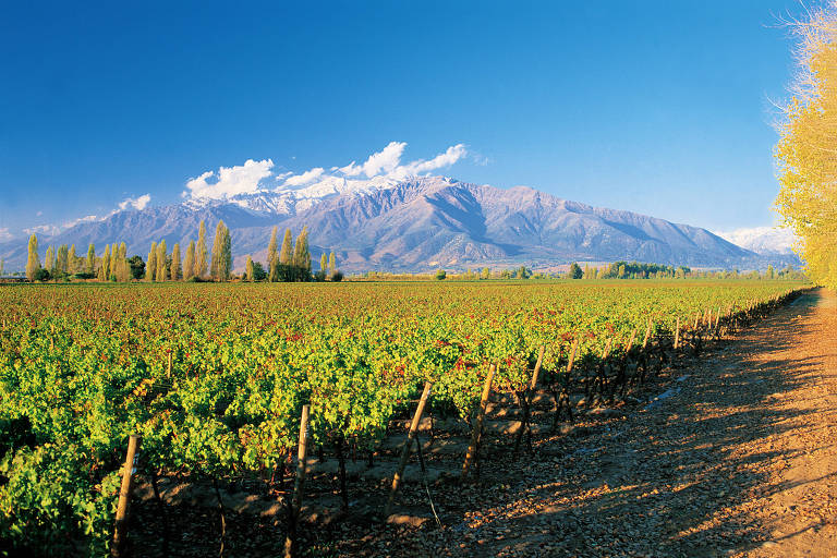 Imagem mostra vinícola no Chile, no fundo estão montanhas.