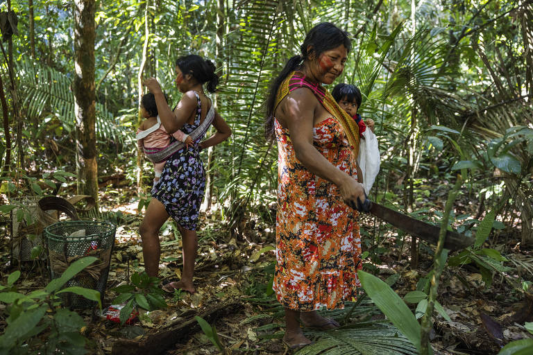 Mulheres kayapó da aldeia Baú durante a caminhada na floresta para acessar a área de coleta de cumaru Terra Indígena Baú, no sul do Pará