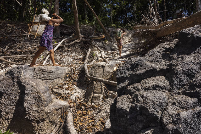 Brasil precisa de força política pela Amazônia, diz cineasta João Moreira  Salles